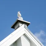 Heimathafen